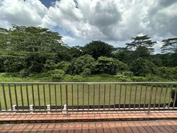 Springside Avenue (D26), Terrace #554801901